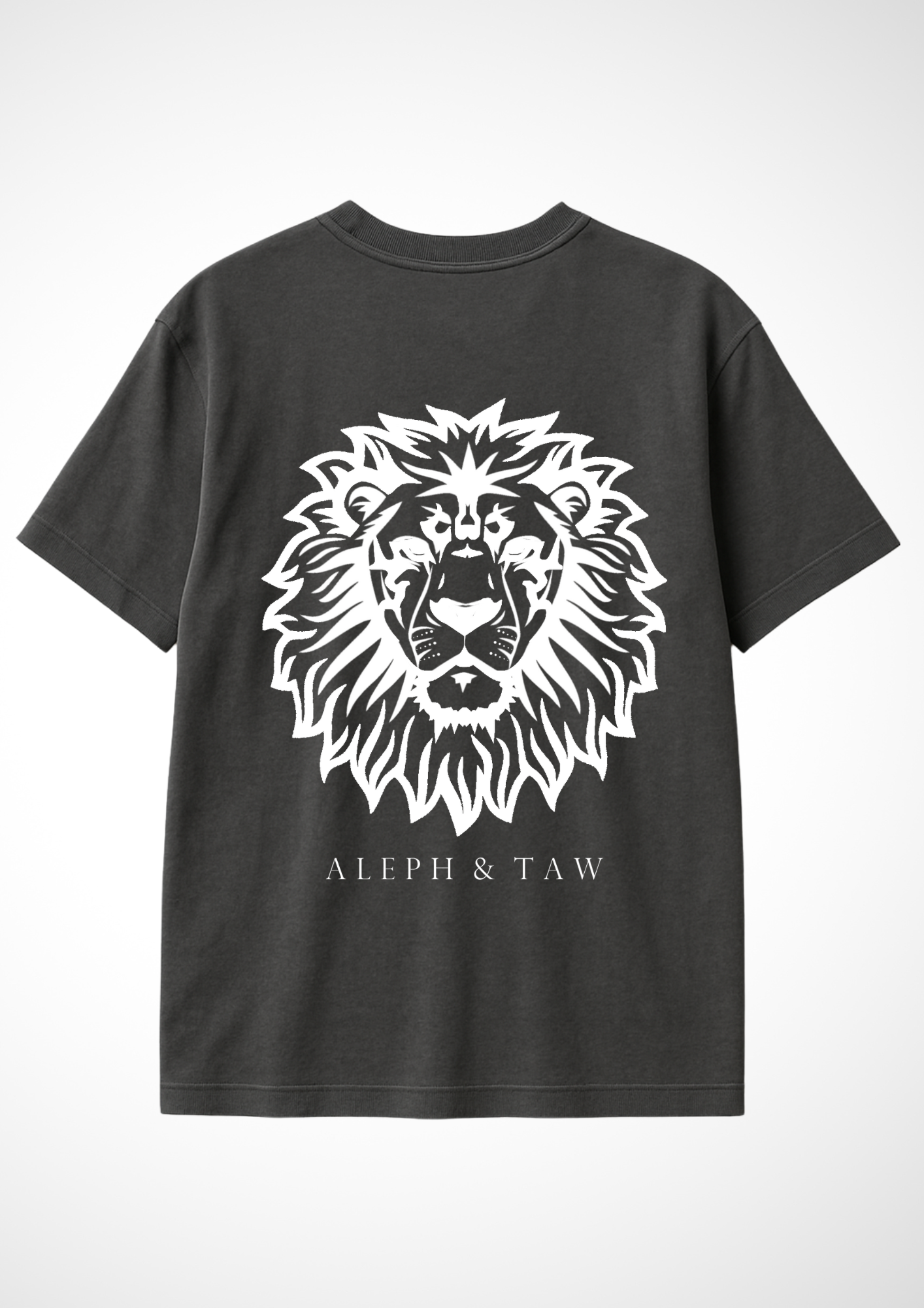 T-shirt - Jean 14:6